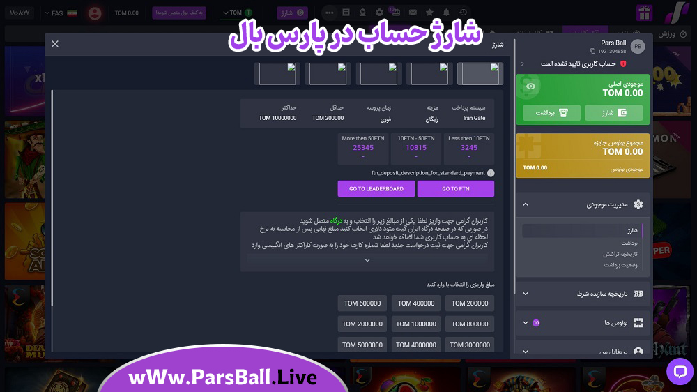 شارژ-حساب-در-پارس-بال